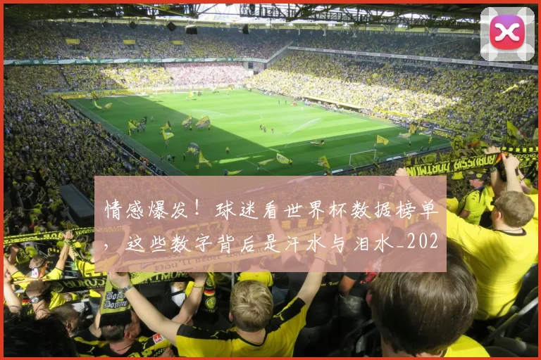 情感爆发！球迷看世界杯数据榜单，这些数字背后是汗水与泪水_20260704174211